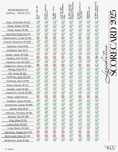Representative Scorecard (2)