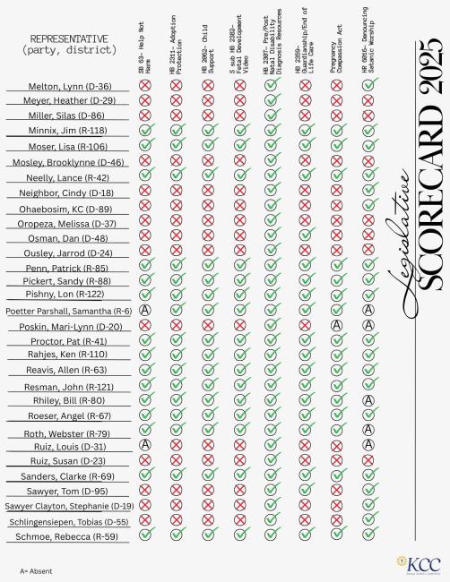 Representative Scorecard (3)